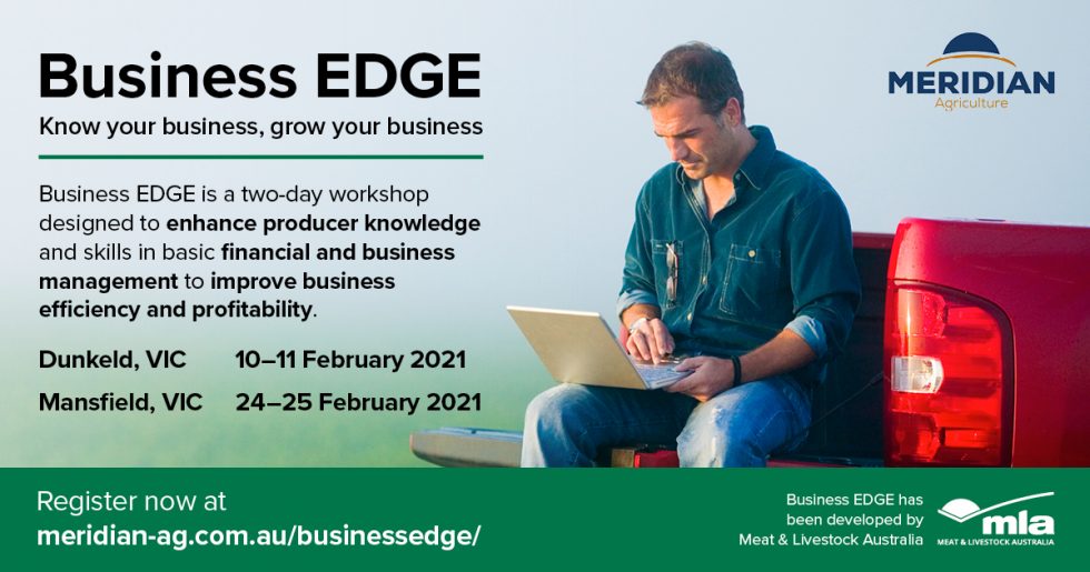 edge download for business